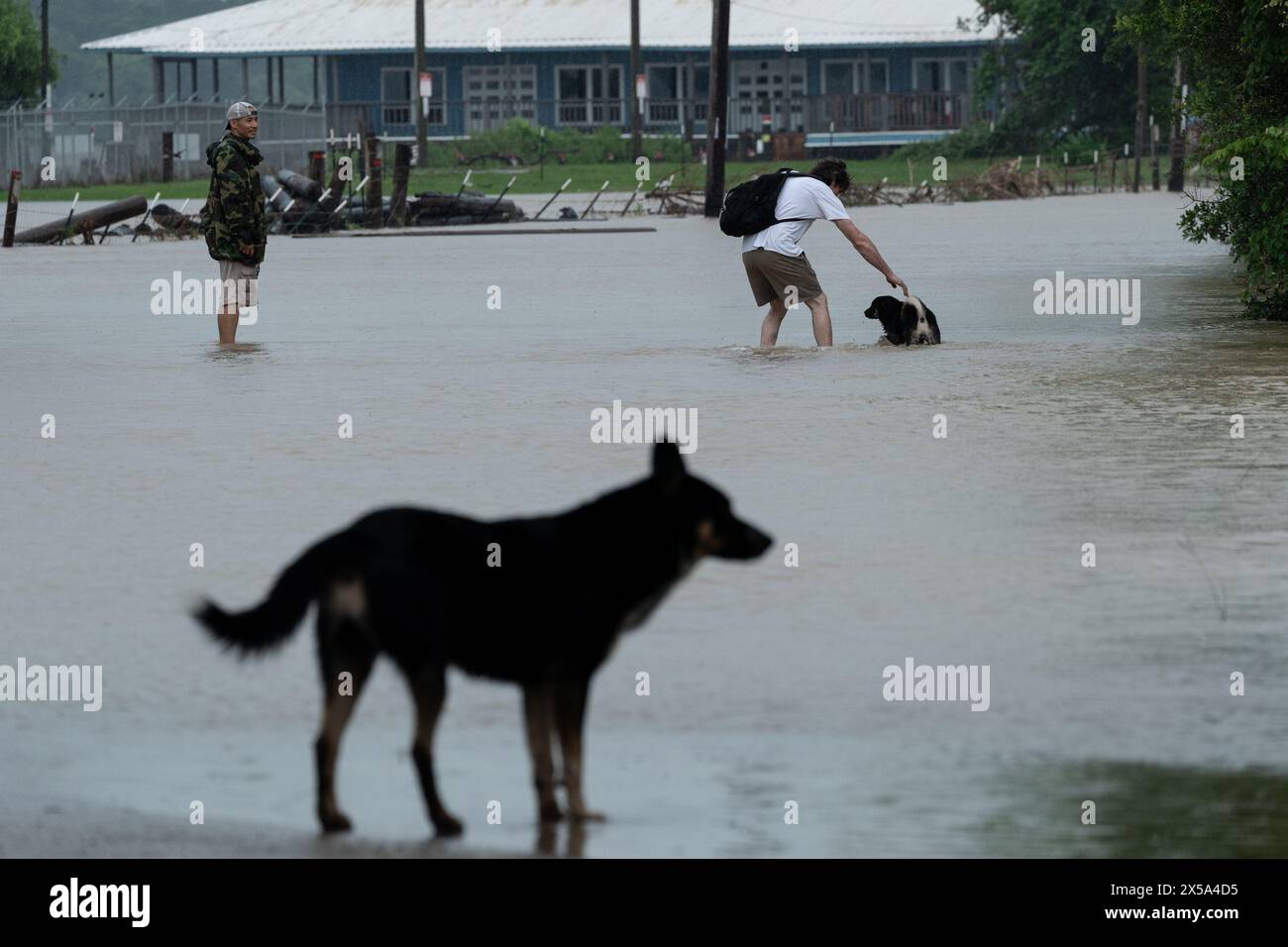 Houston, États-Unis. 5 mai 2024. Cette photo montre des gens et des chiens pataugant dans une zone inondée à Channelview, à l'est de Houston, Texas, États-Unis, le 5 mai, 2024. au moins un garçon a été tué et une femme blessée dimanche dans les eaux de crue au Texas, où plus d'un tiers des comtés ont publié des déclarations de catastrophe au cours de la semaine écoulée en raison de fortes pluies. Crédit : Chen Chen/Xinhua/Alamy Live News Banque D'Images