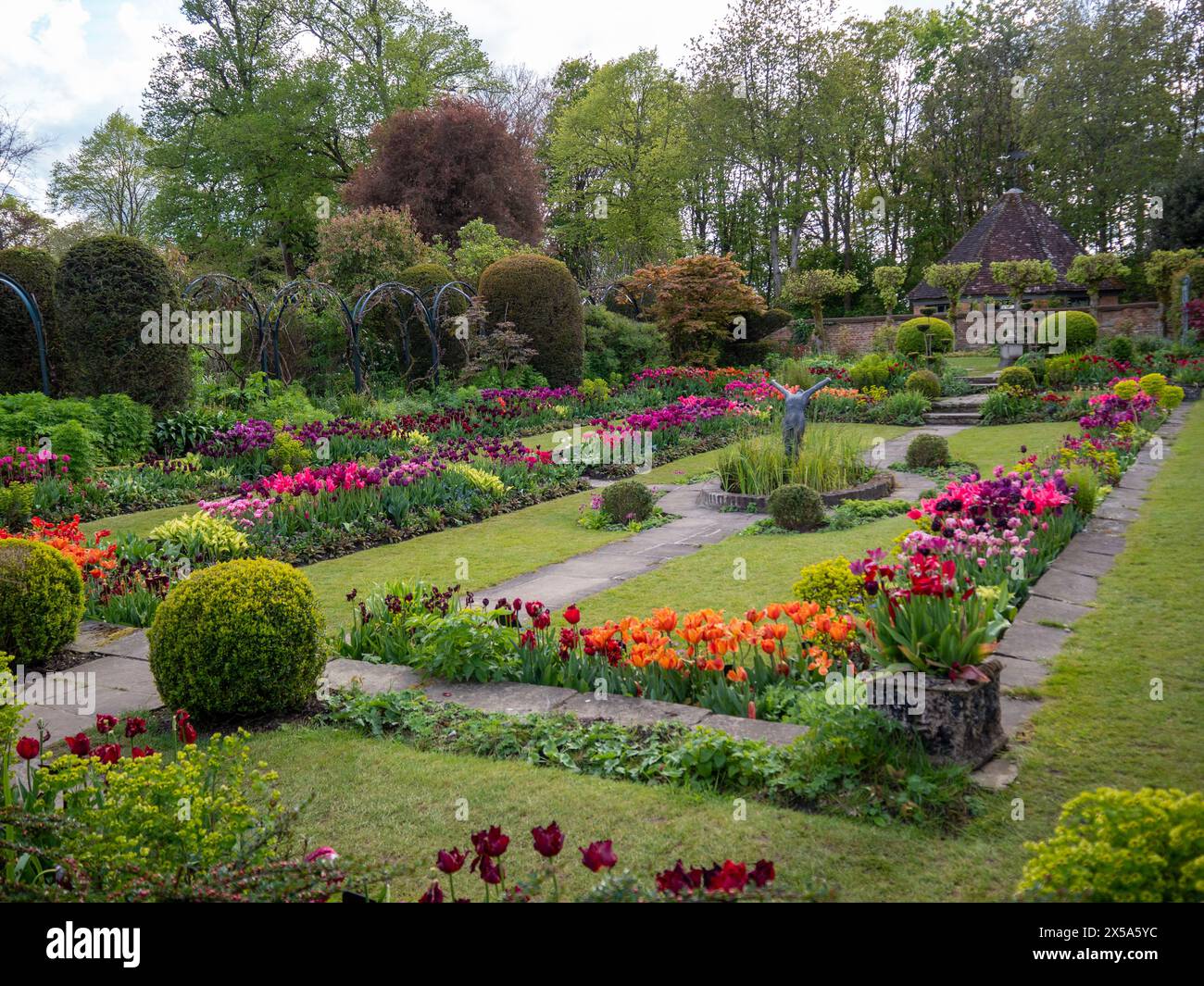 Chenies Manor tulipes de jardin en pleine floraison ; prises sur la diagonale. Fleurs orange, violettes, roses autour de l'étang ornemental. Banque D'Images