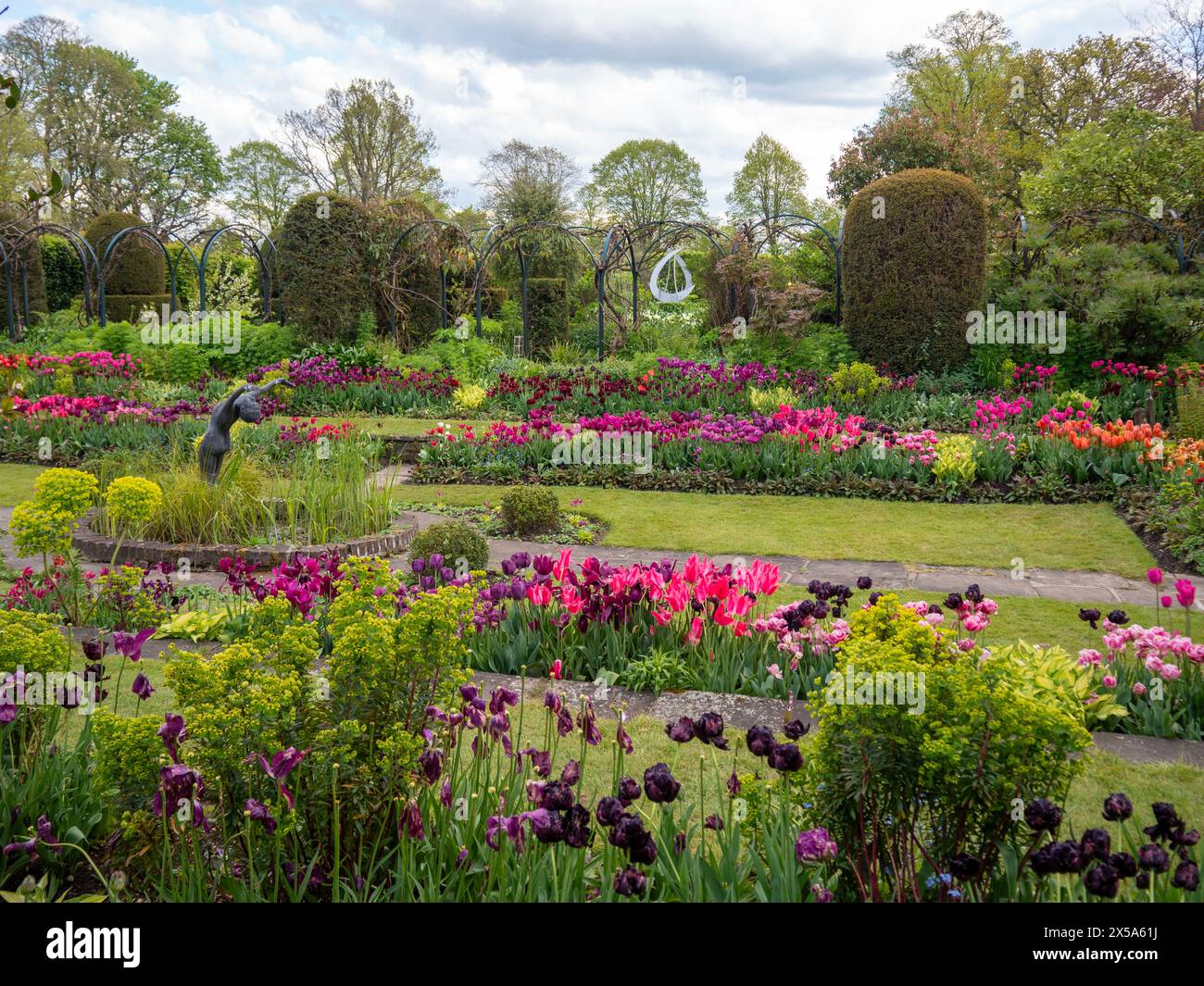 Chenies Manor Sunken Garden et étang, Buckinghamshire. Rangées de tulipes orange vives, roses, rouges et violettes par un après-midi ensoleillé en avril. Banque D'Images