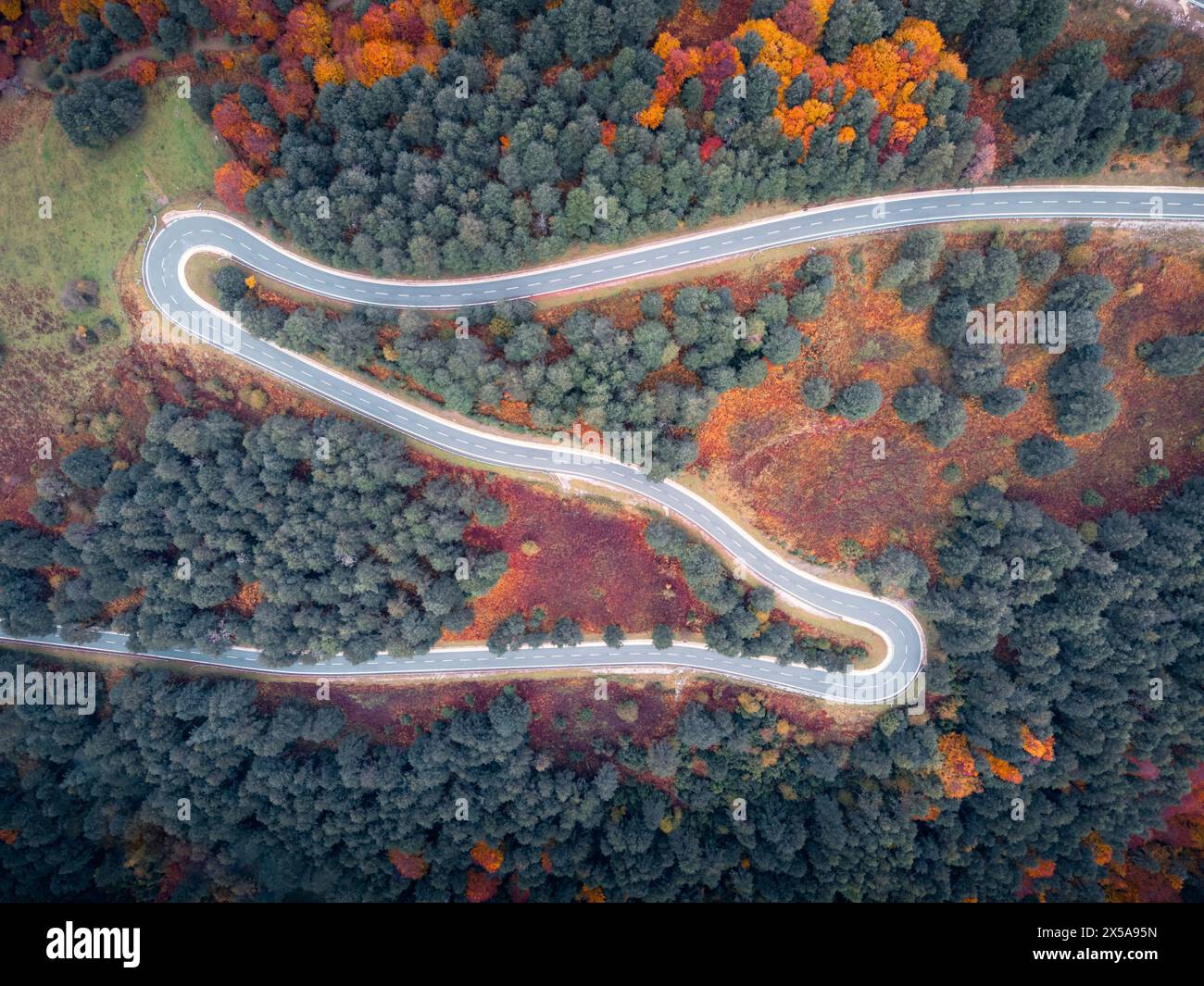 Vue aérienne de dessus d'une route serpentine traversant une forêt automnale colorée dans les Pyrénées, Navarre, mettant en valeur la beauté saisonnière du Roncal Banque D'Images