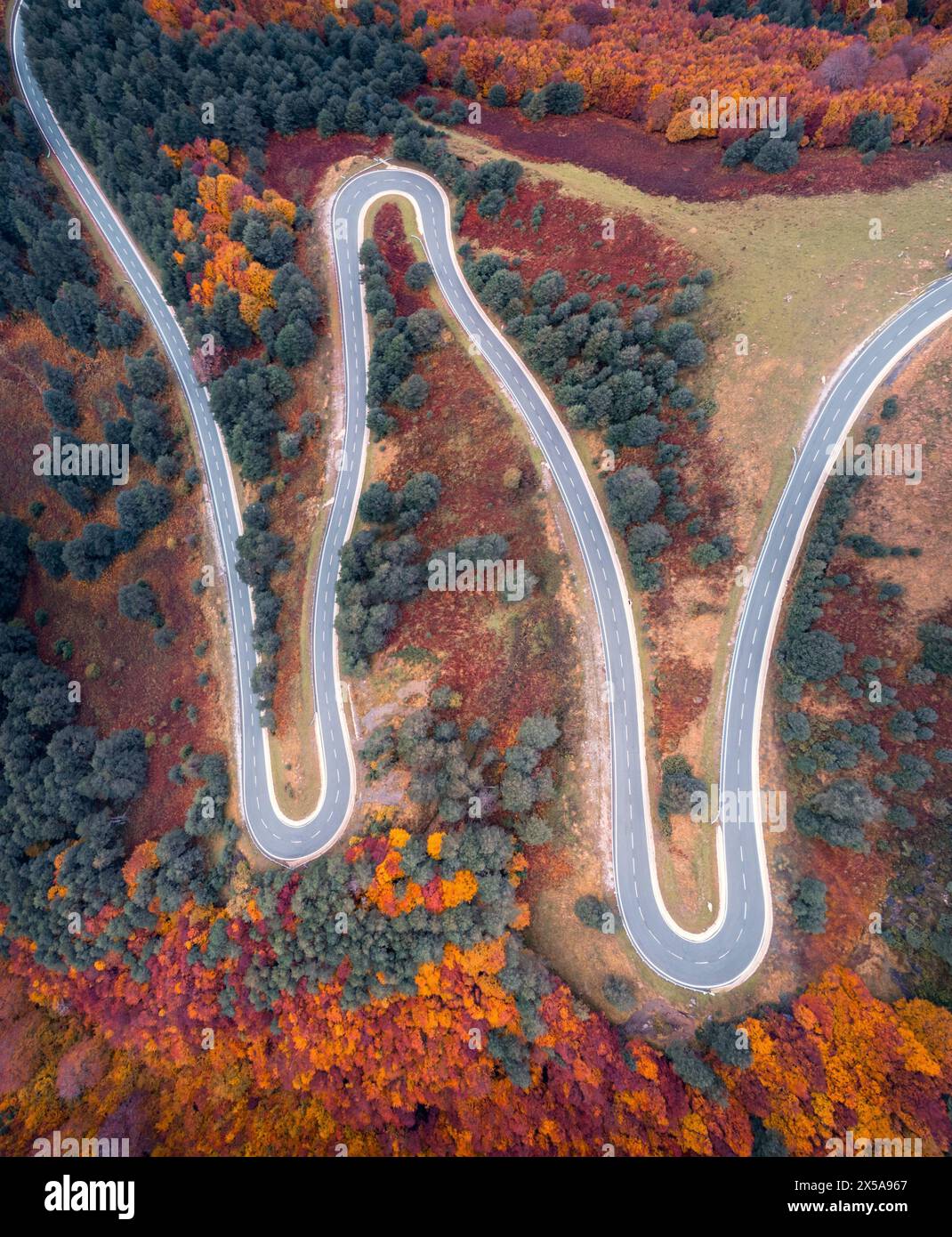Vue aérienne de dessus d'une route sinueuse serpentant à travers le feuillage d'automne vibrant des Pyrénées, dans la vallée de Roncal, Navarre. Banque D'Images