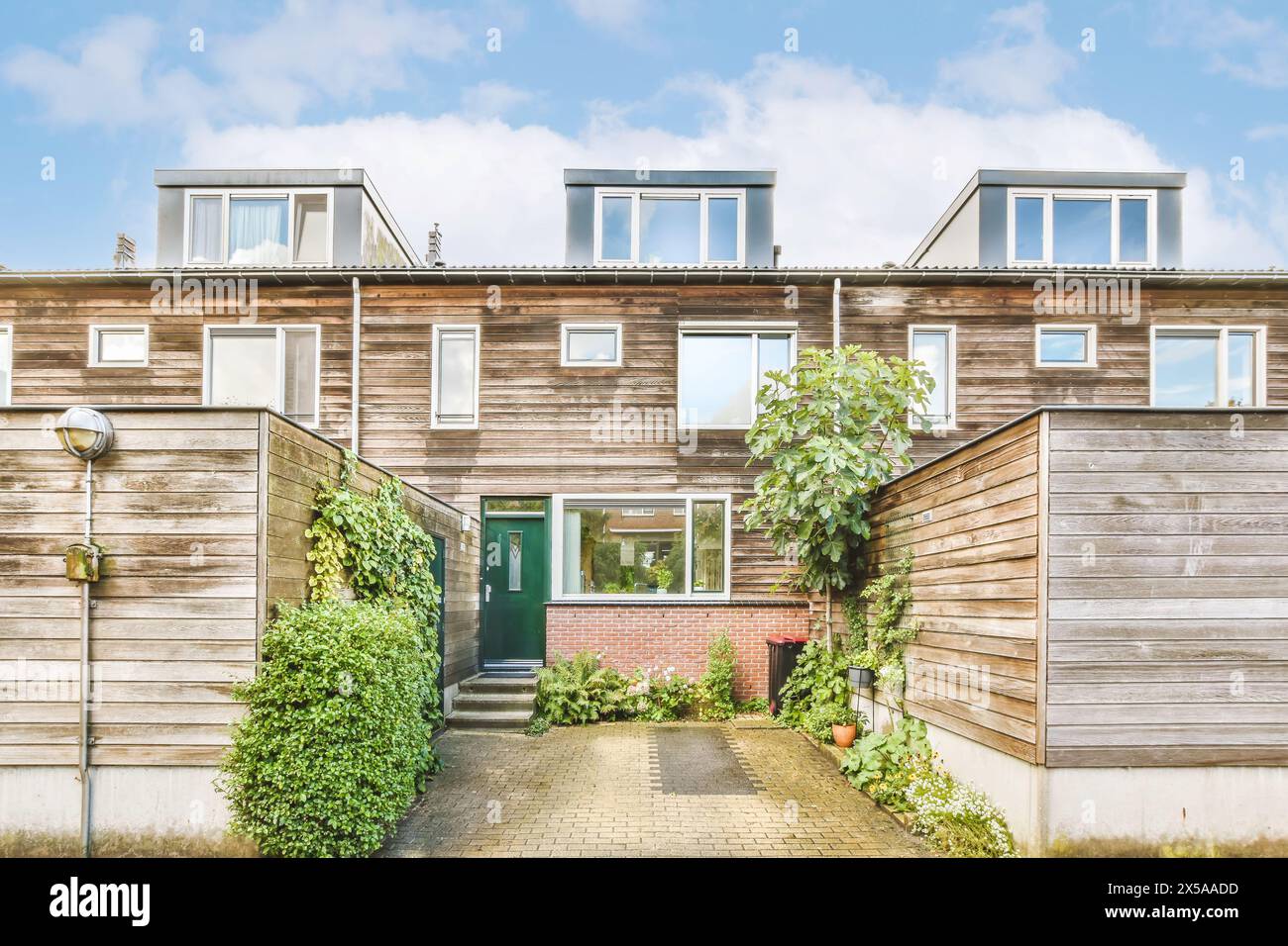 Maison contemporaine de deux étages avec une façade en bois et des fenêtres avec puits de lumière, entourée de plantes vertes. Banque D'Images