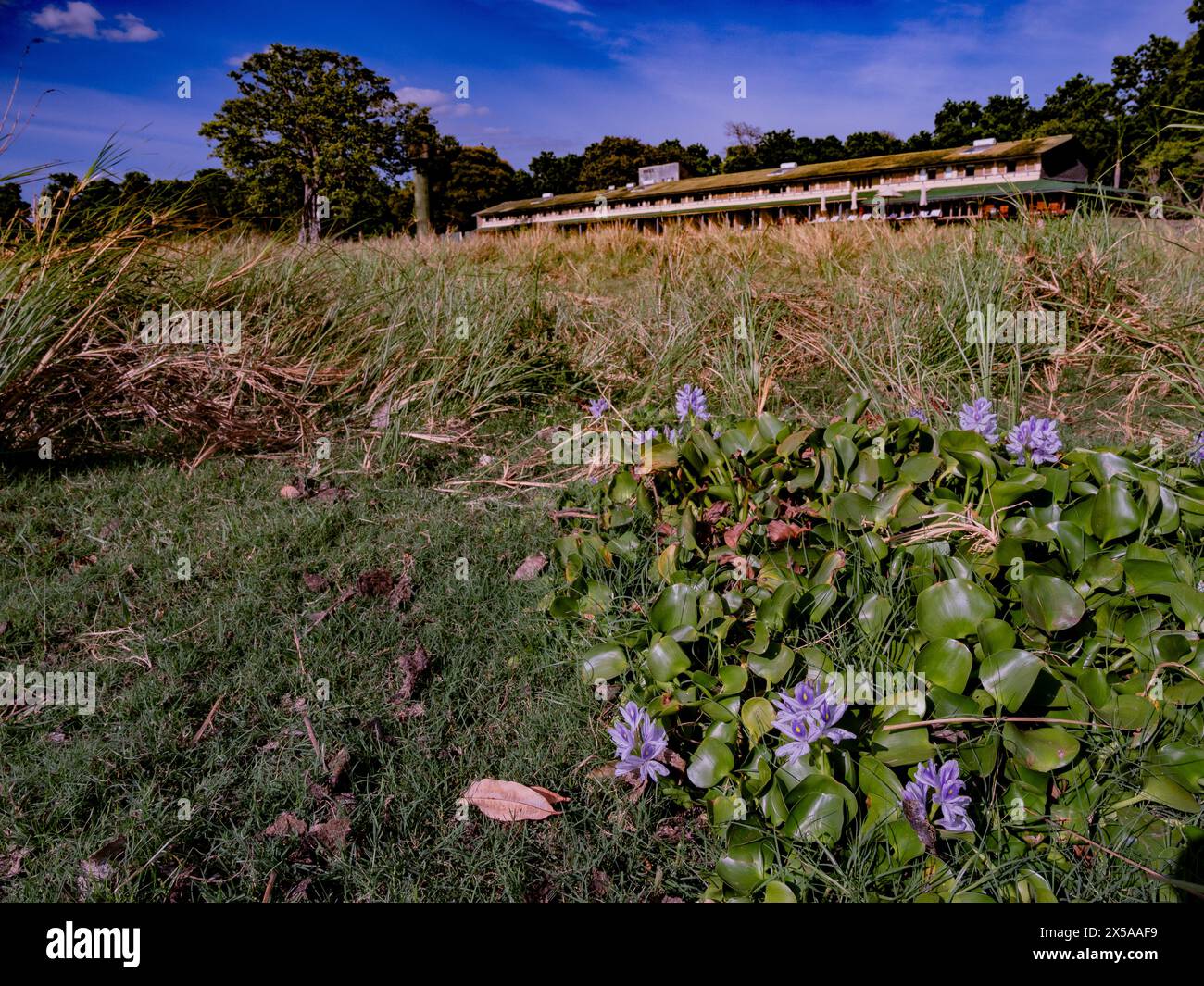 Lit de lac séché en face de Lake Hotel Sri Lanka Banque D'Images