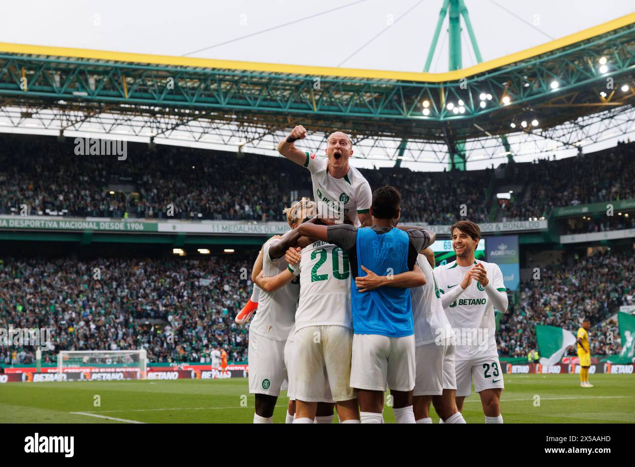 Les joueurs de Sporting célèbrent après le but marqué par Francisco Trincao lors du match de Liga Portugal entre le Sporting CP et le Portimonense SC à Estadio JO Banque D'Images