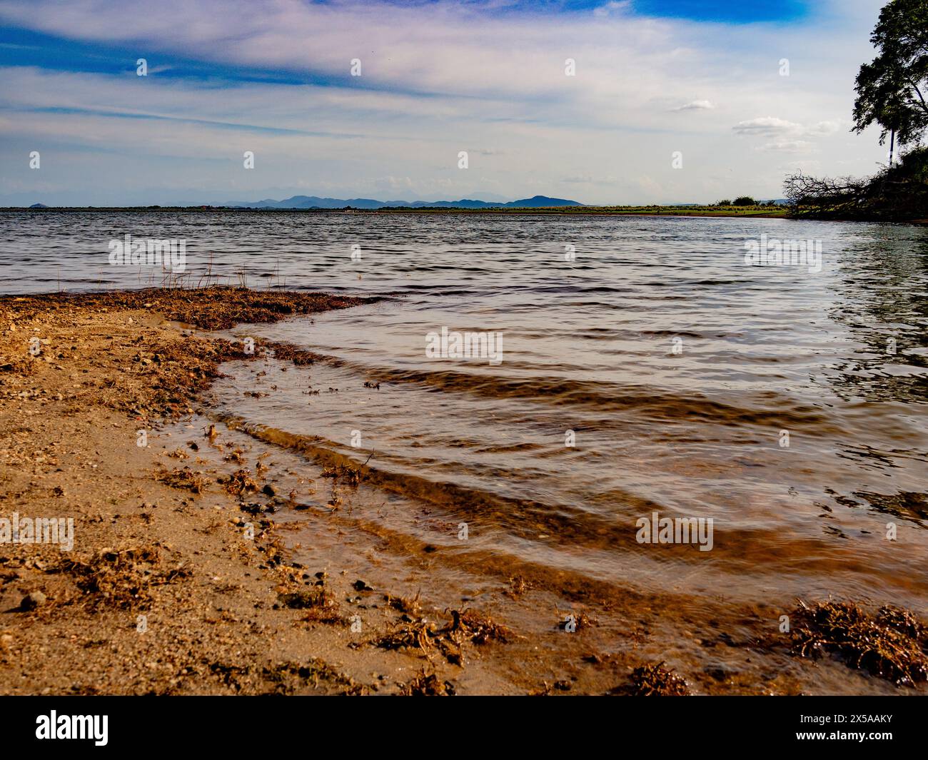 Rivage du lac d'eau douce, érosion, changement environnemental Banque D'Images