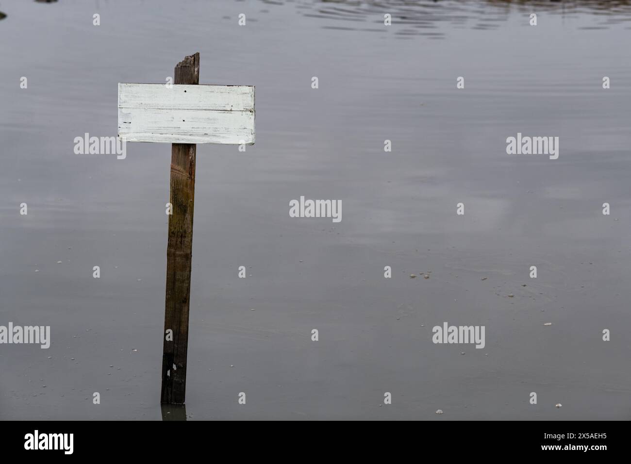 Petit panneau blanc, altéré, en bois vierge sur un poteau dans un bassin d'eau calme et calme. Banque D'Images