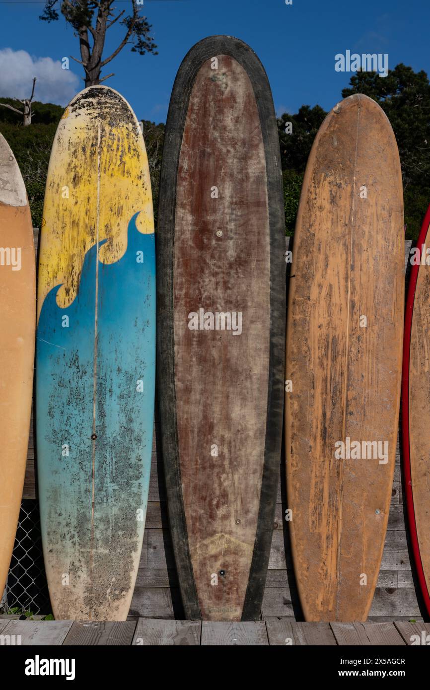 Planches de surf vintage retirées dans une variété de longueurs et de couleurs attachées à une clôture le long d'une route dans le nord de la Californie. Banque D'Images