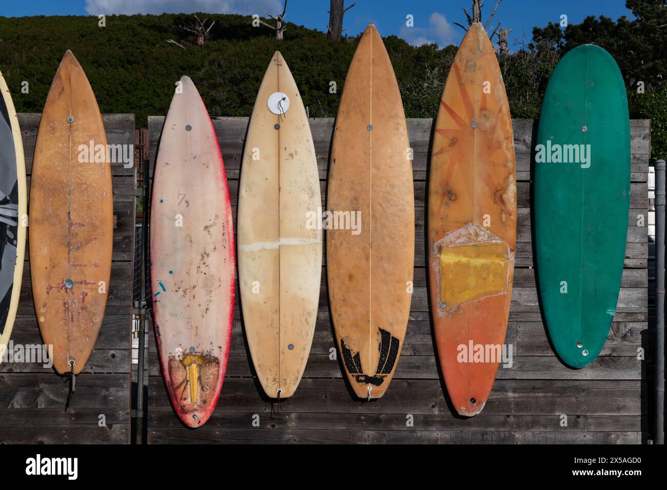Planches de surf vintage retirées dans une variété de longueurs et de couleurs attachées à une clôture le long d'une route dans le nord de la Californie. Banque D'Images