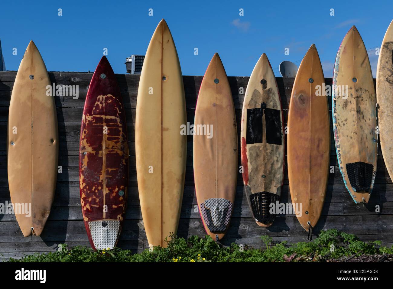 Planches de surf vintage retirées dans une variété de longueurs et de couleurs attachées à une clôture le long d'une route dans le nord de la Californie. Banque D'Images