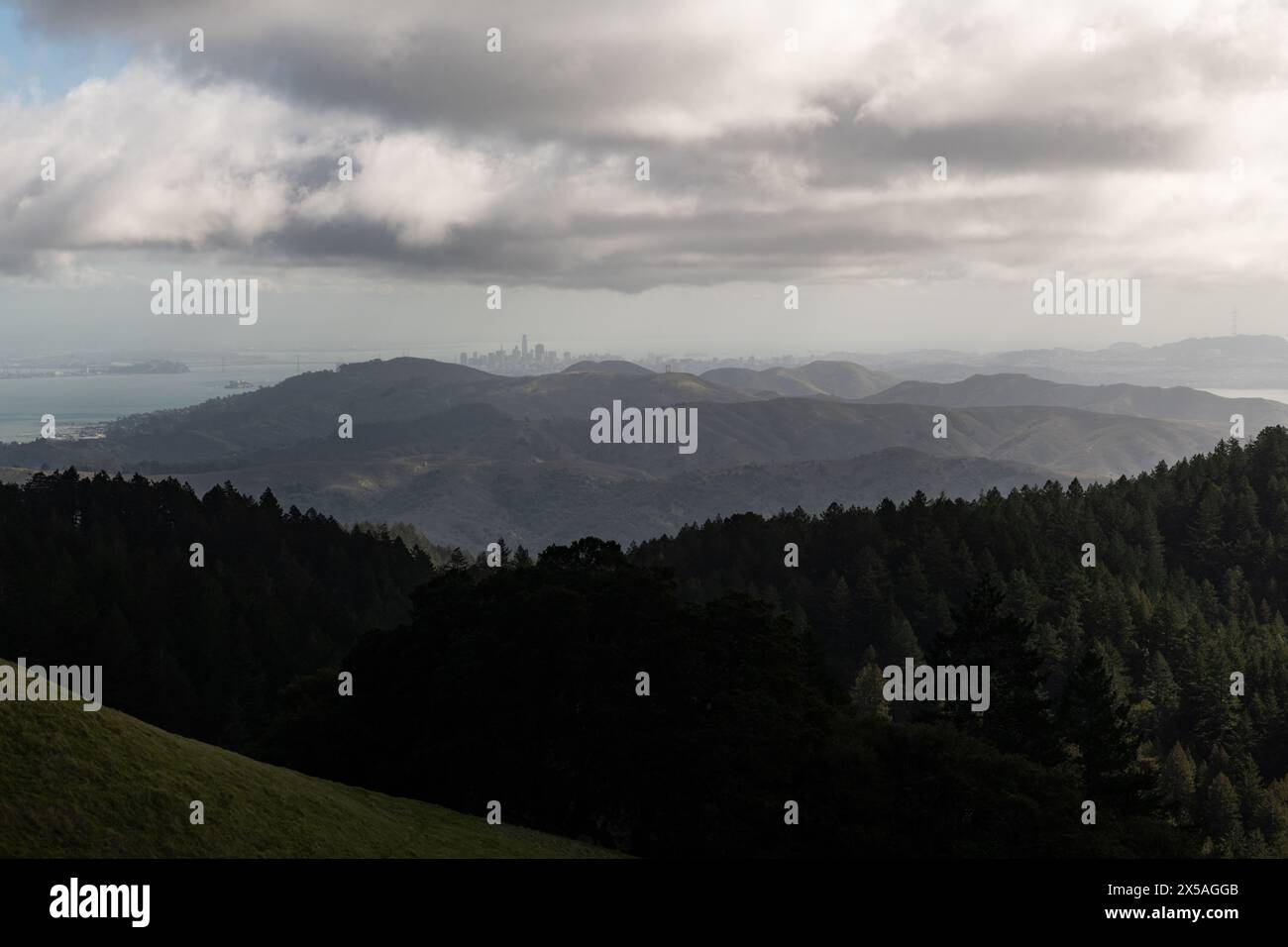 Vue lointaine de la skyline de San Francisco, vue à travers le brouillard et la brume depuis le sommet d'une montagne verte printanière dans les Marin Headlands, au nord de Cali Banque D'Images