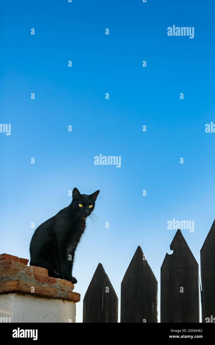 Un chat noir est assis perché au-dessus d'une clôture en bois contre un ciel crépusculaire en Espagne. Banque D'Images