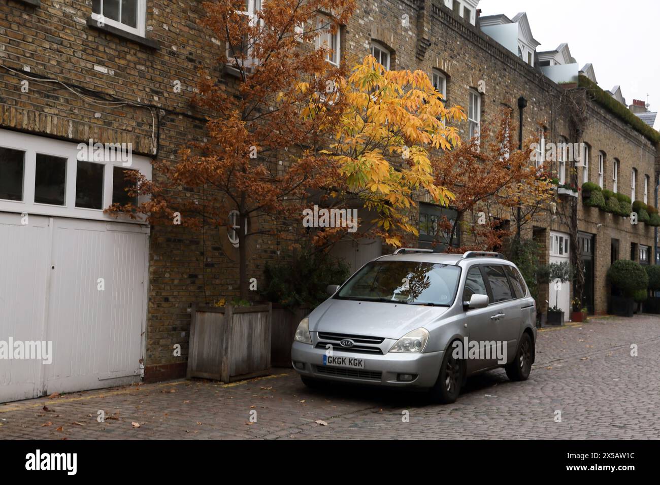 Voiture à l'extérieur des maisons avec des arbres en pot sur Reece Mews Kensington Londres Angleterre Banque D'Images