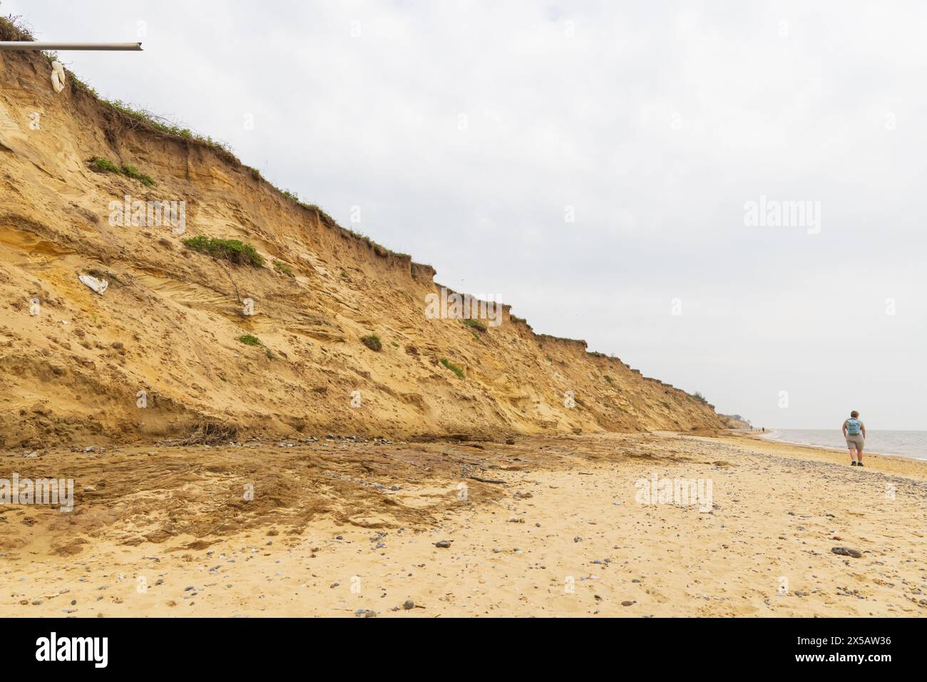 Les falaises en ruine sur Covehithe Beach, Covehithe, Suffolk. ROYAUME-UNI. Banque D'Images