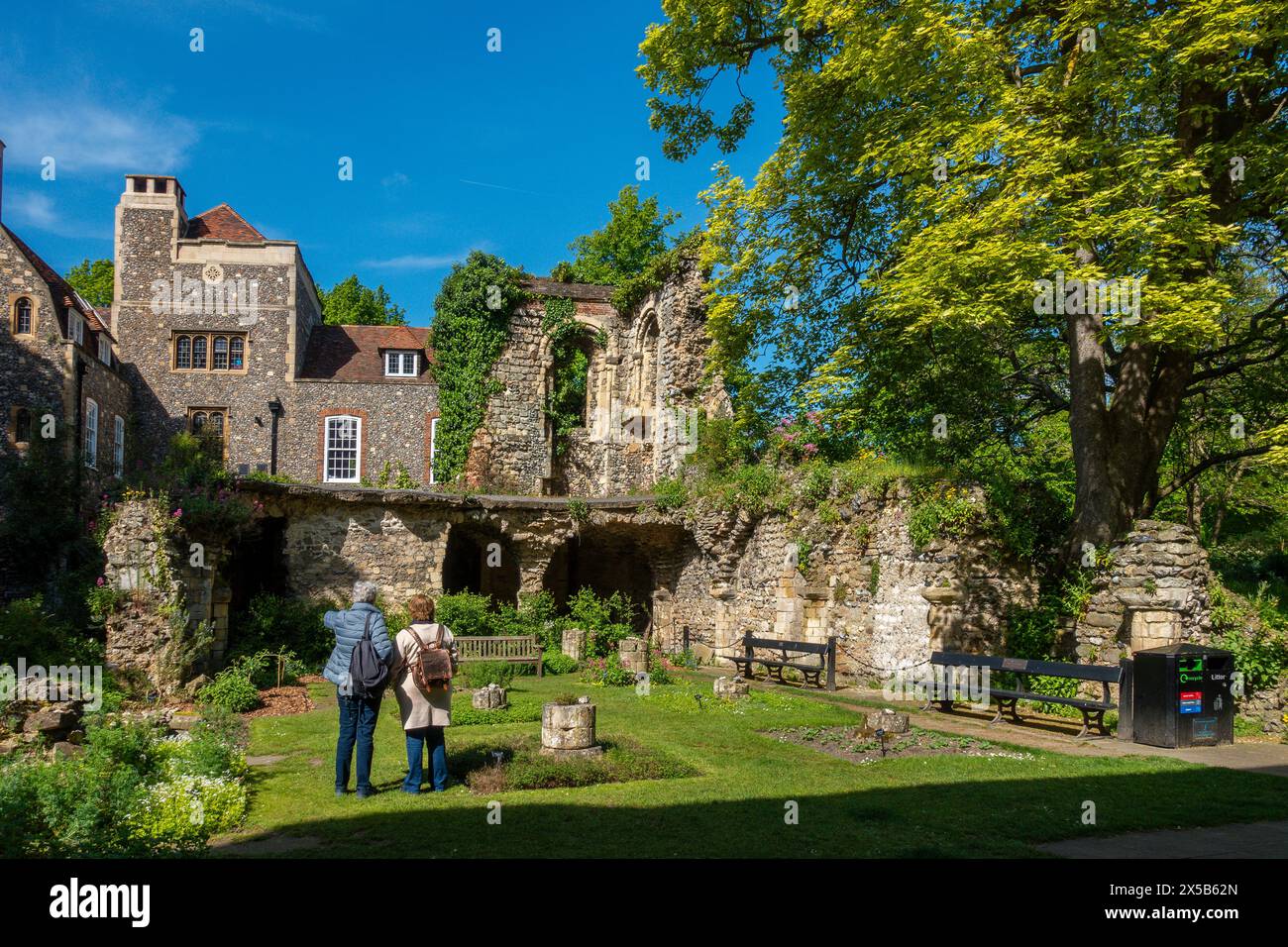 Le jardin d'herbes, Cathédrale de Canterbury, Canterbury, Kent, Angleterre Un jardin d'herbes médicinales du 16ème siècle a été recréé parmi les ruines du dortoir monastique. Banque D'Images