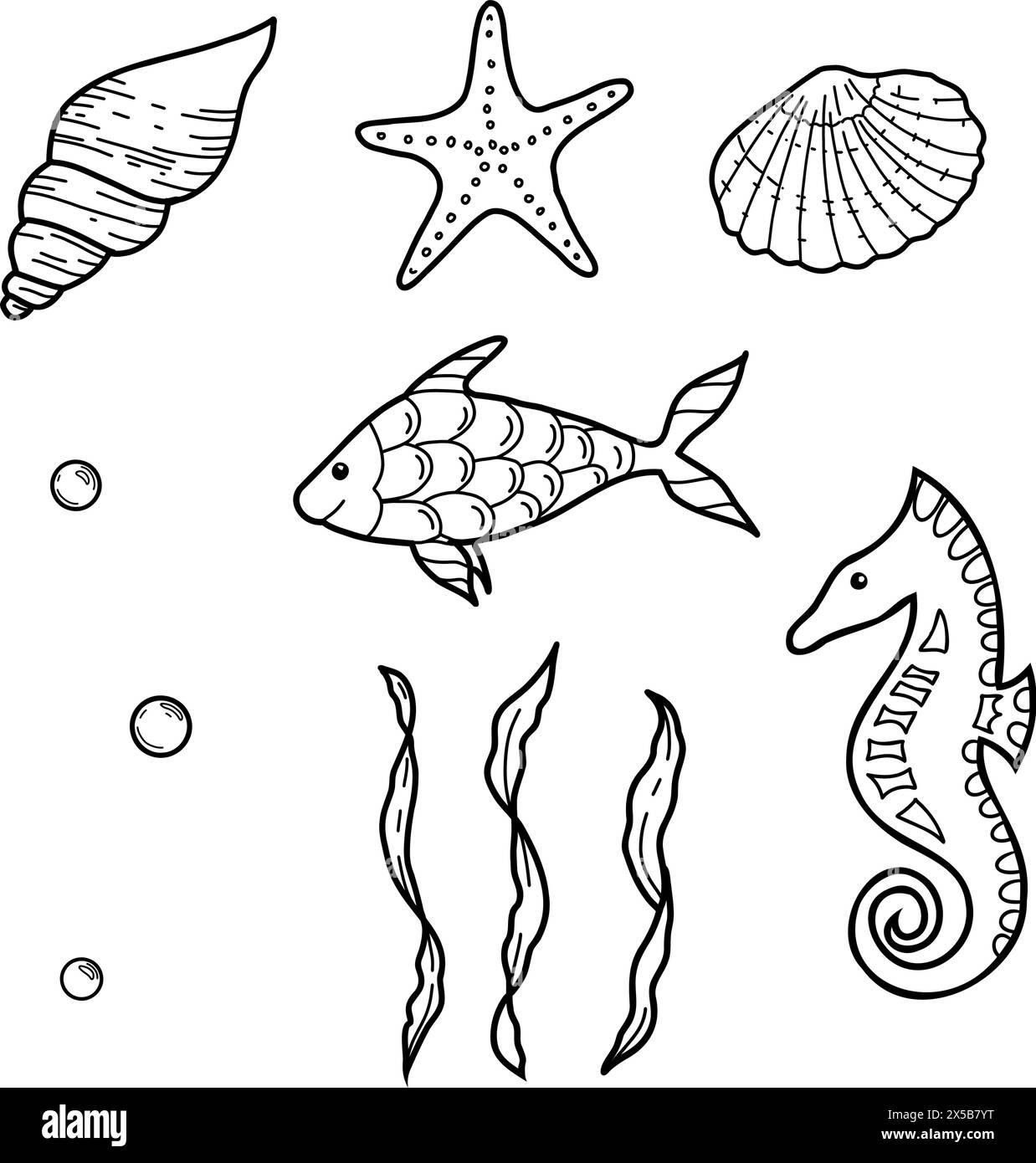 Set Sea Life. Coquillages dessinés à la main, étoile, cheval et poisson. Illustrations vectorielles d'algues, d'algues laminaires et de bulles d'eau dans le style doodle. Esquisse Illustration de Vecteur