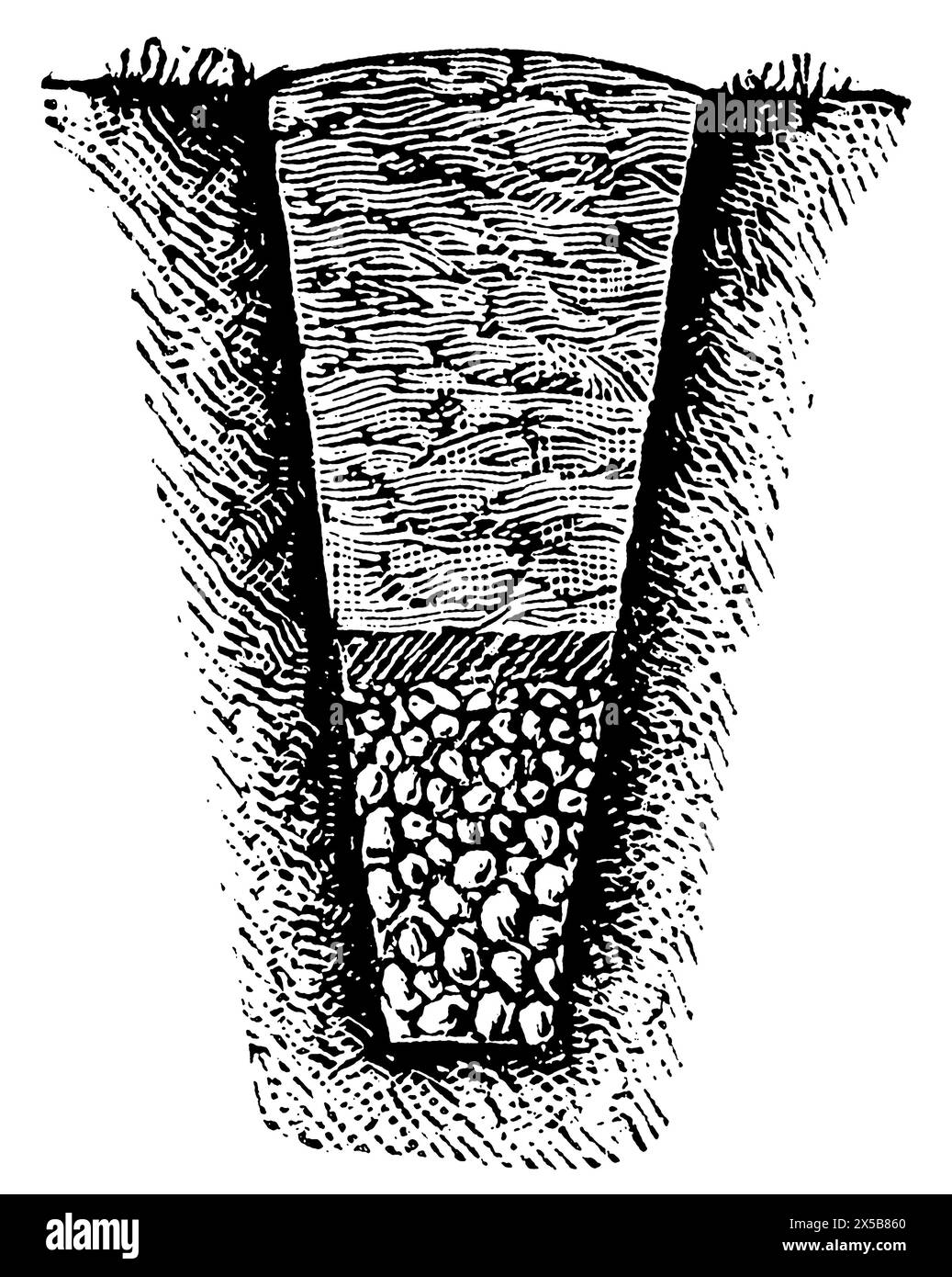 Amélioration des sols. Drain de pierre de champ. Publication du livre 'Meyers Konversations-Lexikon', volume 7, Leipzig, Allemagne, 1910 Banque D'Images