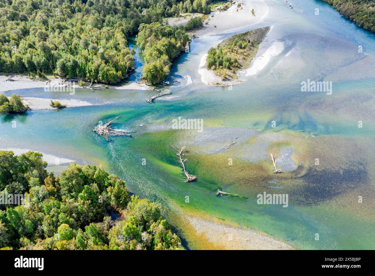 Vue aérienne au-dessus de la confluence des rivières Rio Frio et Rio Yelcho, troncs d'arbres morts sur bancs de sable, Patagonie, Chili Banque D'Images