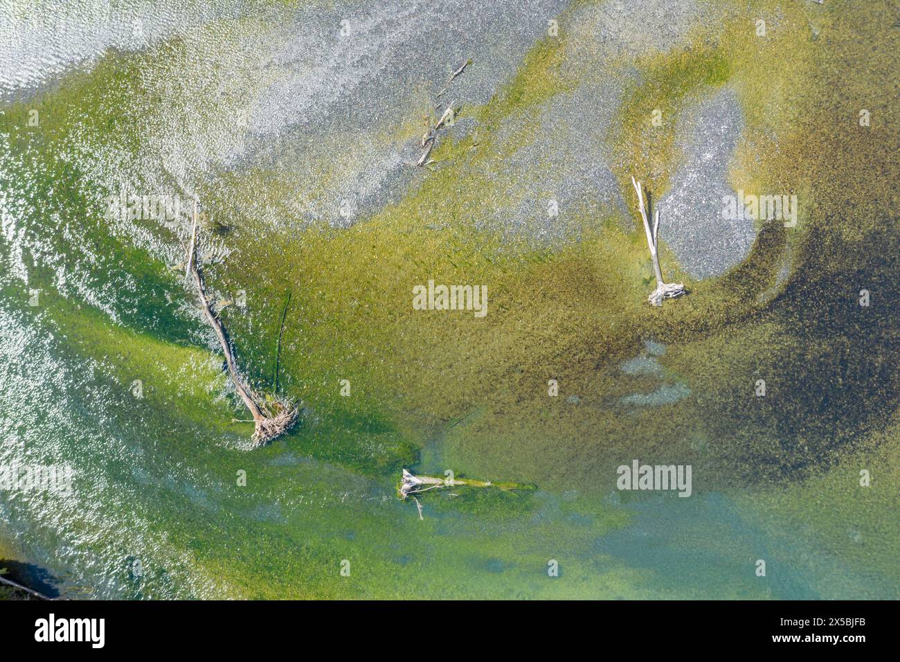 Vue aérienne au-dessus de la confluence des rivières Rio Frio et Rio Yelcho, troncs d'arbres morts sur bancs de sable, Patagonie, Chili Banque D'Images