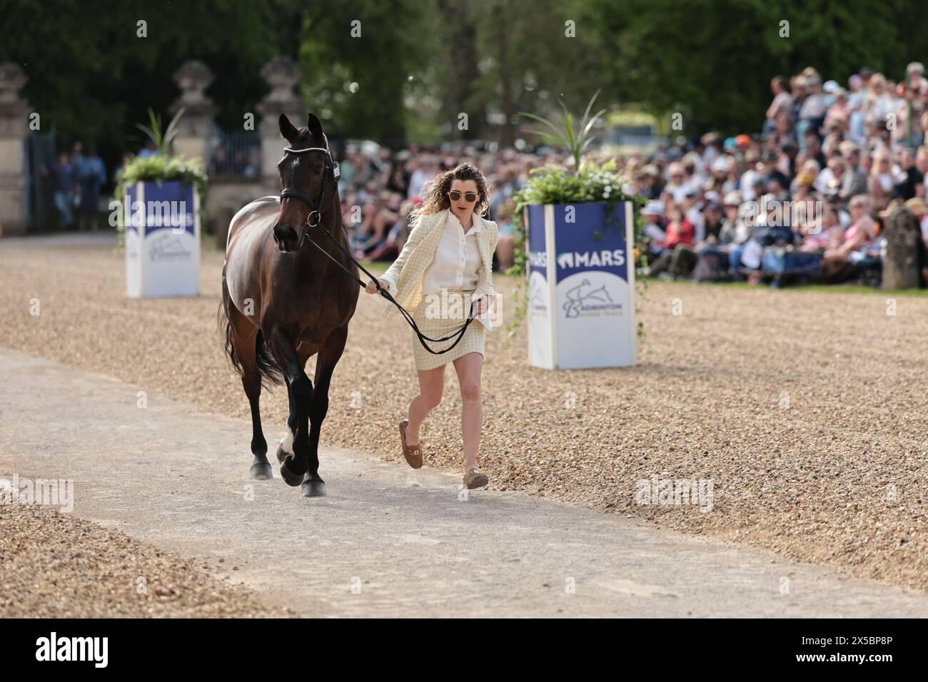 Kristina Hall-Jackson de Grande-Bretagne avec CMS Google lors de la première inspection de chevaux au Badminton Horse Trials le 8 mai 2024, Badminton Estate, Royaume-Uni (photo de Maxime David - MXIMD Pictures) Banque D'Images