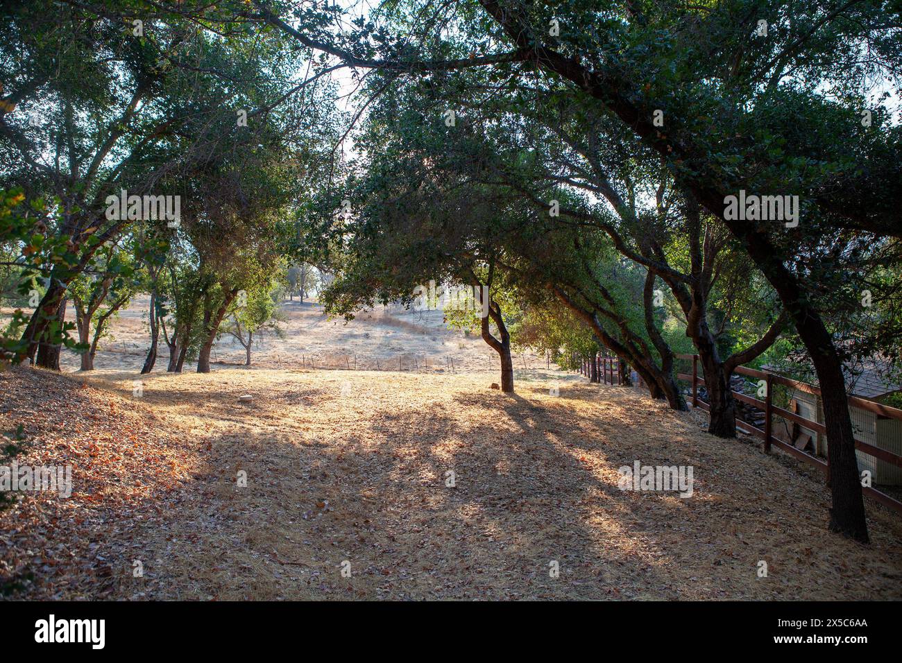Une scène en plein air à Ojai, Californie, USA. Banque D'Images
