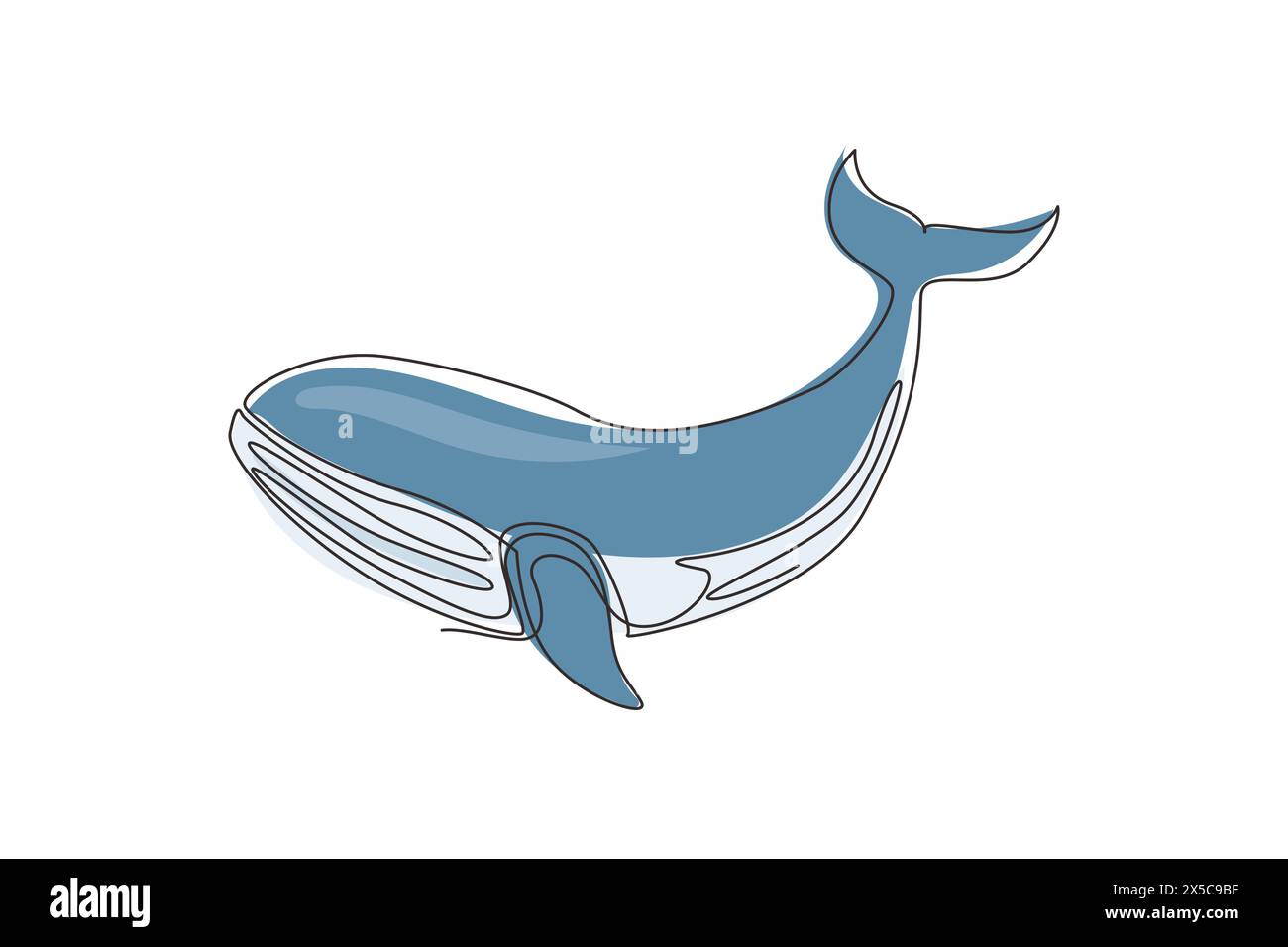 Une seule ligne dessinant des poissons de baleine sauvage nageant dans la vie marine. Mascotte d'animaux marins pour piscine aquatique. Baleine bleue sous l'eau de l'océan. Continu Illustration de Vecteur