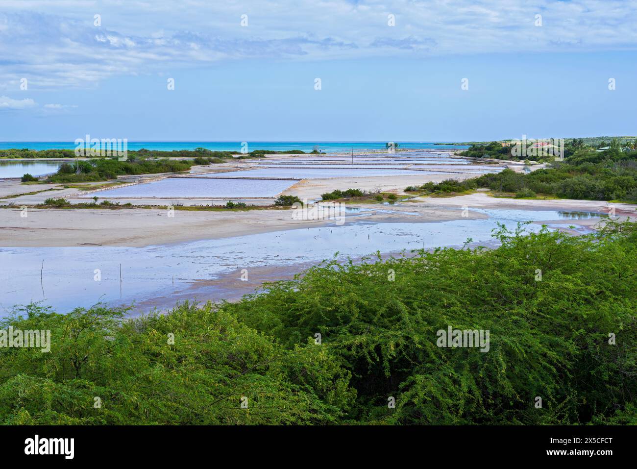 piscines salées et marais salants le long de la côte caribéenne au refuge faunique de cabo rojo dans le sud-ouest de porto rico Banque D'Images