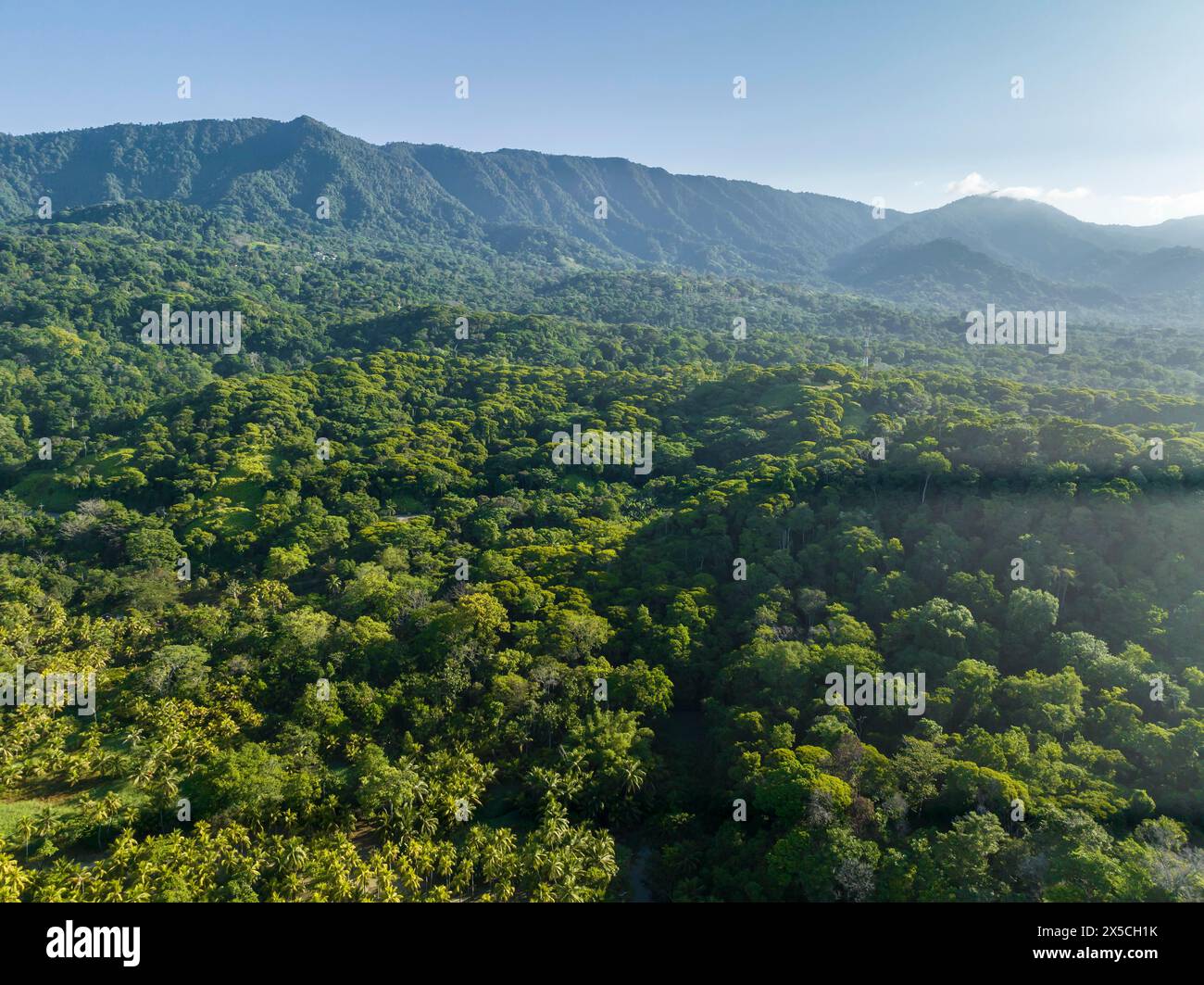 Vue aérienne, forêt tropicale et montagnes, province de Puntarenas, Costa Rica Banque D'Images
