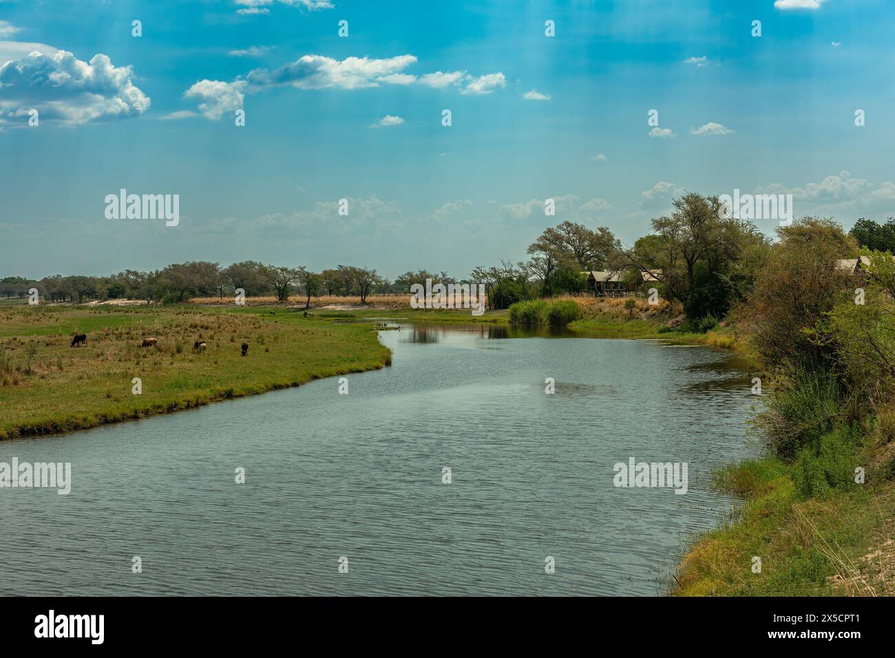 Vue sur le paysage de la rivière Chobe au Botswana Banque D'Images