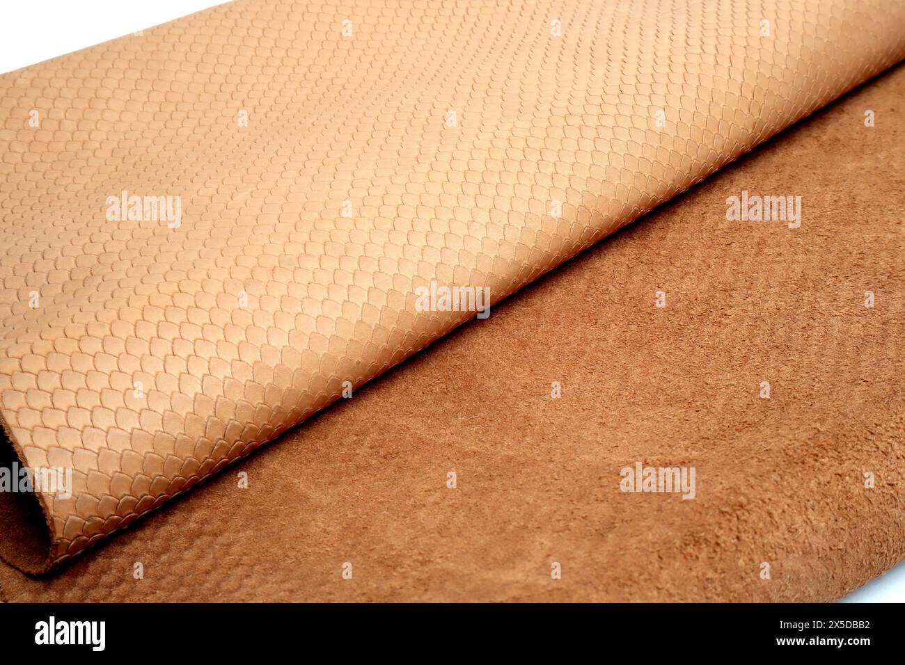 rouleau de cuir véritable isolé sur fond blanc Banque D'Images