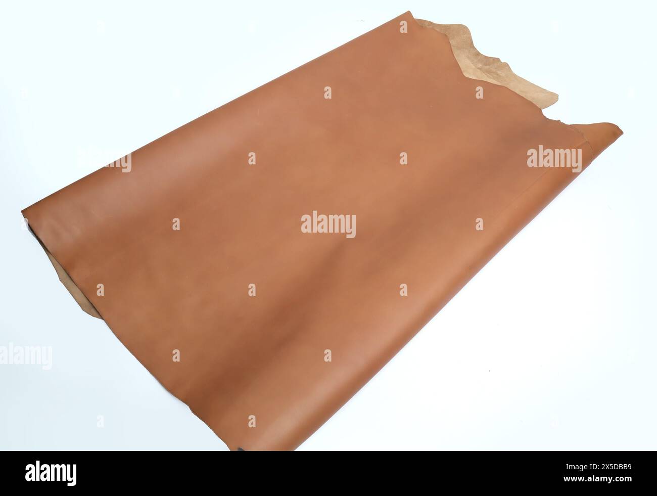 peau de cuir de croûte isolée sur fond blanc Banque D'Images