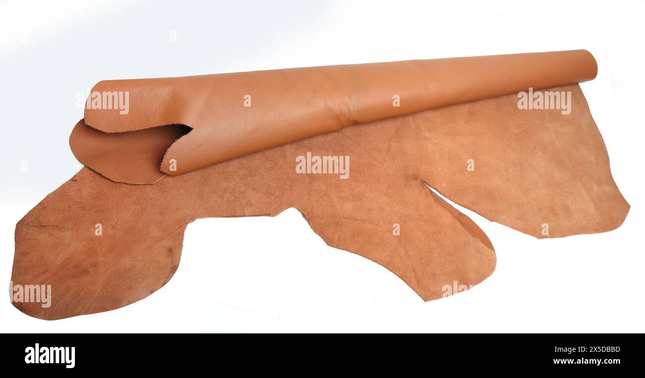 rouleau de cuir véritable isolé sur fond blanc Banque D'Images