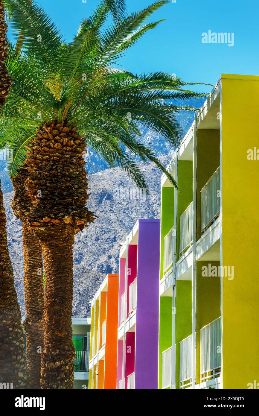 Hôtel Saguaro, palmiers et architecture colorée à Palm Springs, Californie Banque D'Images