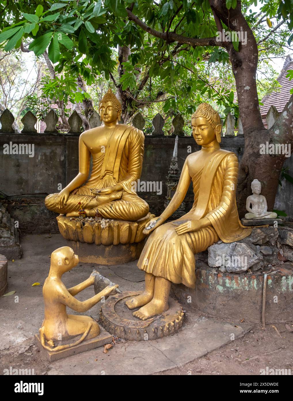 Images de Bouddha à Wat Choumkhong, Luang Prabang, Laos Banque D'Images