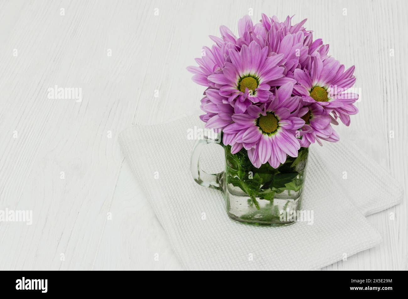 Un vase en verre transparent rempli d'eau se trouve sur une table blanche. Le vase contient un bouquet de fleurs de chrysanthème violettes avec des tiges et des feuilles vertes. Banque D'Images