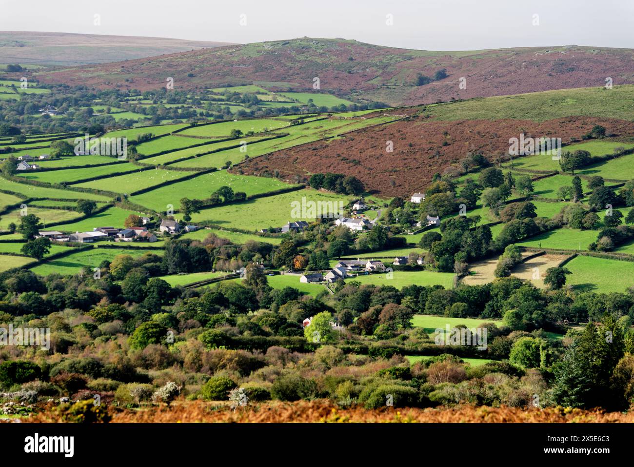 Paysage du parc national de Dartmoor près de Widecombe aka Widecombe dans le village de Moor vu de l'est de Top Tor, Devon Angleterre. Champs agricoles et landes Banque D'Images