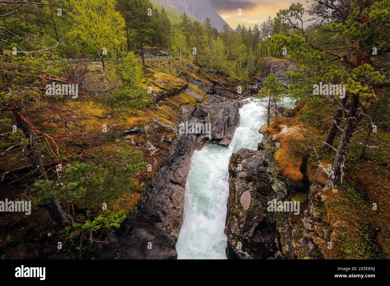 Le parc national de Reinheimen (norvégien : Reinheimen nasjonalpark) est un parc national norvégien créé en 2006 et situé à Moere og Romsd Banque D'Images