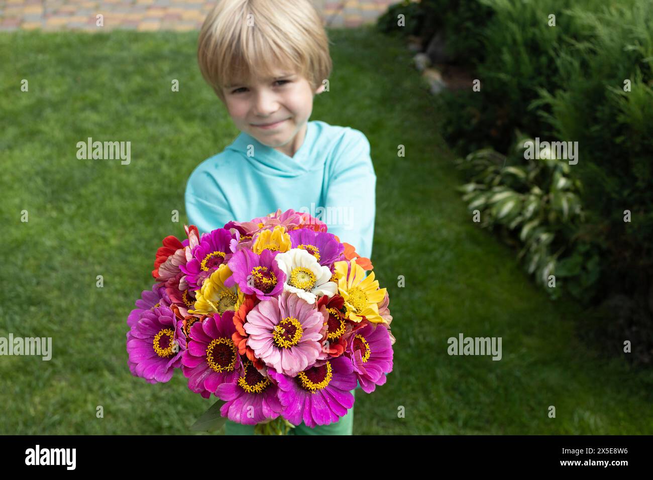 Garçon tient devant lui un grand bouquet de fleurs Zinnia multicolores lumineuses. Cadeau floral pour la fête des mères ou l'anniversaire de grand-mère. Banque D'Images