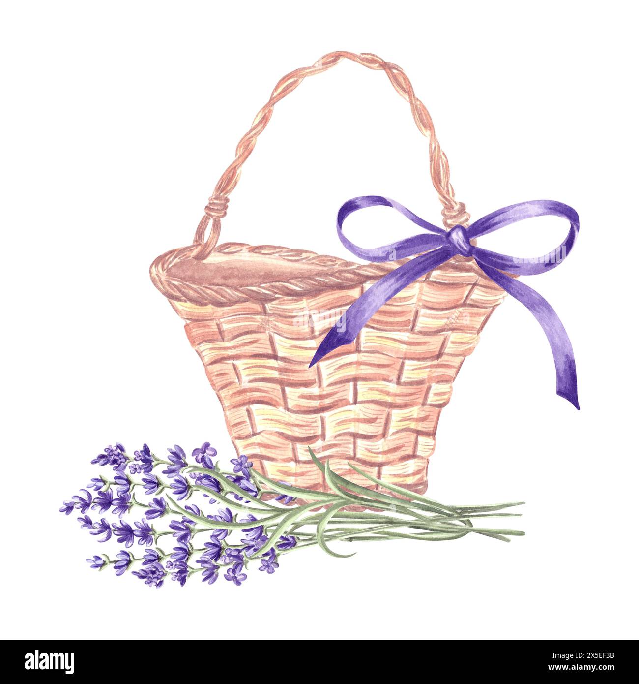 Lavande et panier avec noeud en soie. Bouquet de fleurs , sac en osier vintage. Illustration à l'aquarelle dessinée à la main des herbes florales printanières de Provence. Isolé Banque D'Images
