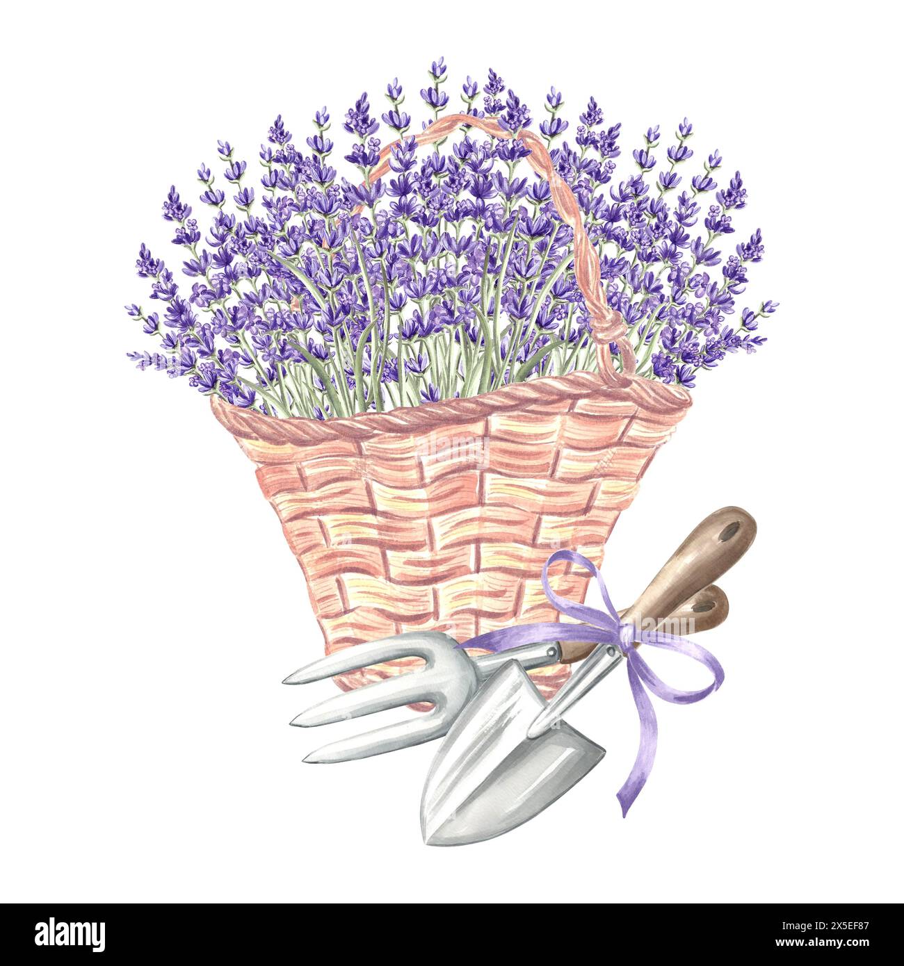 Lavande dans le panier avec des outils de jardin. Bouquet de fleurs dans un sac en osier vintage, truelle et râteau. Illustration à l'aquarelle dessinée à la main de Provence printemps HE Banque D'Images