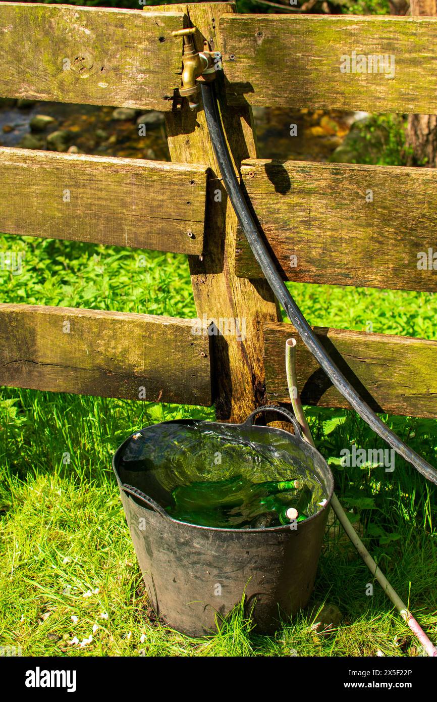 le cidre artisanal est refroidi dans un seau métallique à la ferme des asturies Banque D'Images