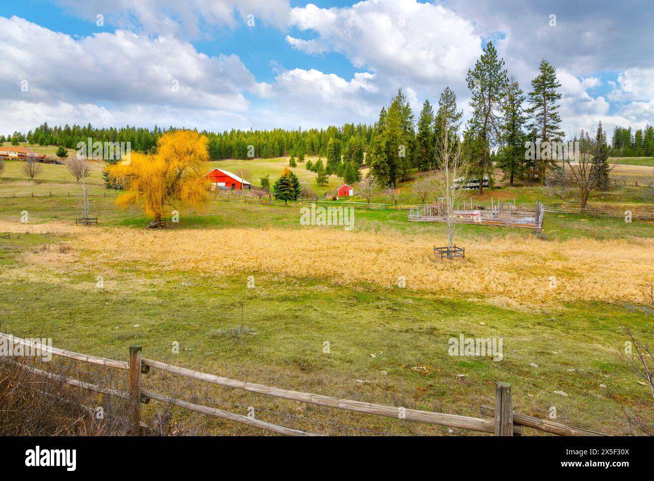 Une grange rouge colorée avec une dépendance plus petite assortie dans un ranch homesite dans les collines de la campagne Spokane, Washington, États-Unis. Banque D'Images