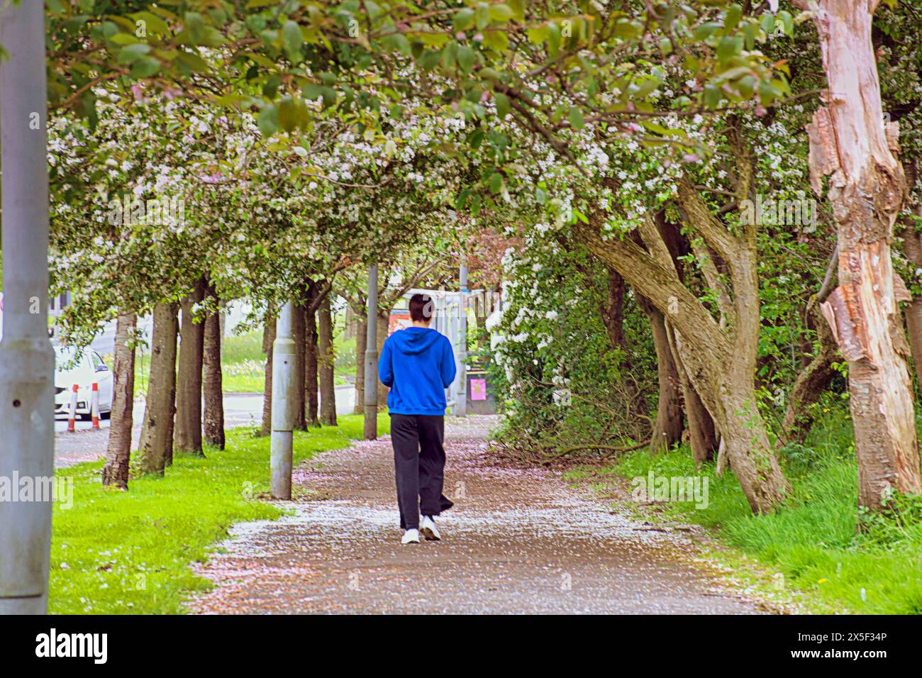 Glasgow, Écosse, Royaume-Uni. 9 mai 2024 : Météo britannique : temps ensoleillé pour les habitants et les touristes dans le centre-ville. Crédit Gerard Ferry/Alamy Live News Banque D'Images