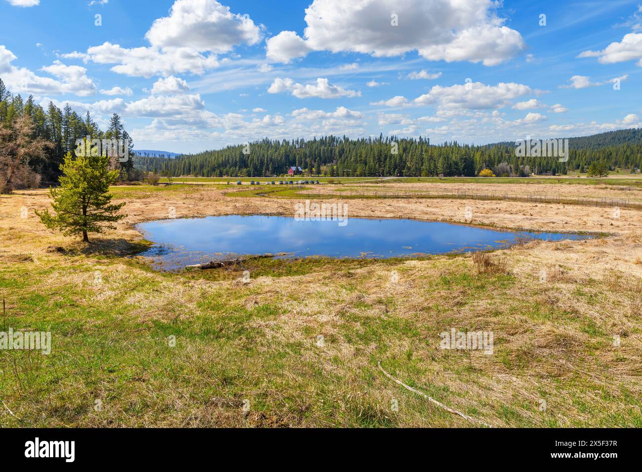 Vue depuis le sentier de randonnée au bord du lac de la réserve naturelle de Cougar Bay le long des rives du lac coeur d'Alene, à coeur d'Alene, Idaho. Banque D'Images