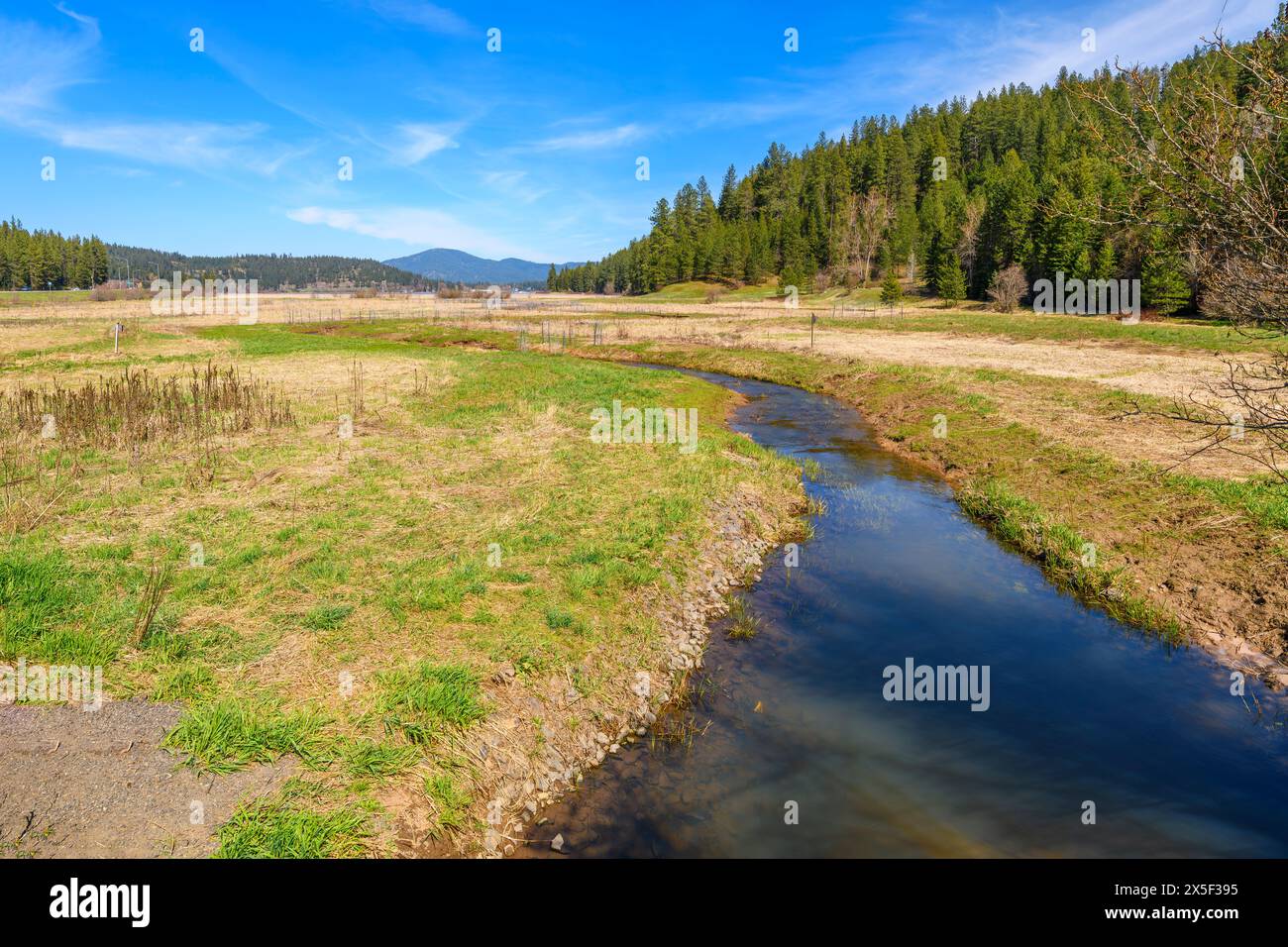 Vue depuis le sentier de randonnée au bord du lac de la réserve naturelle de Cougar Bay le long des rives du lac coeur d'Alene, à coeur d'Alene, Idaho. Banque D'Images