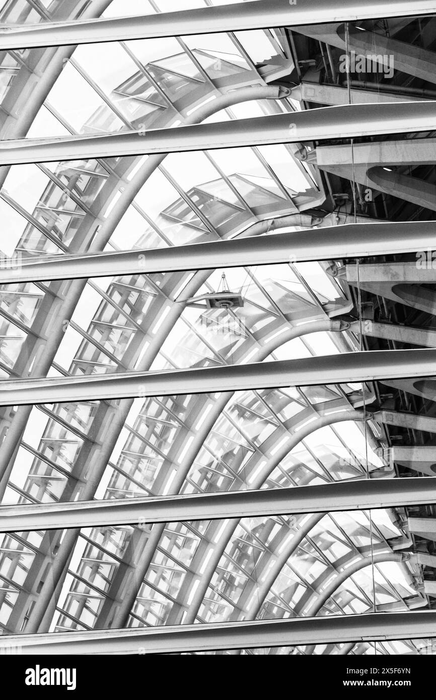 Les détails extérieurs du Museu de les ciencies principe Felipe (Musée des Sciences principe Felipe) de Ciudad de las Artes y las Ciencias (la ville de Banque D'Images