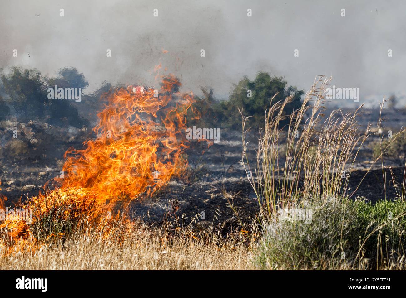 Limassol, Limassol, Chypre. 9 mai 2024. Un petit feu brûle de la végétation sauvage, Limassol, Chypre, en mai. 9, 2024. Un feu de forêt a éclaté dans la zone industrielle d'Ipsonas, à quelques kilomètres du centre de Limassol, qui a brûlé principalement de la végétation sauvage. (Crédit image : © Kostas Pikoulas/ZUMA Press Wire) USAGE ÉDITORIAL SEULEMENT! Non destiné à UN USAGE commercial ! Banque D'Images