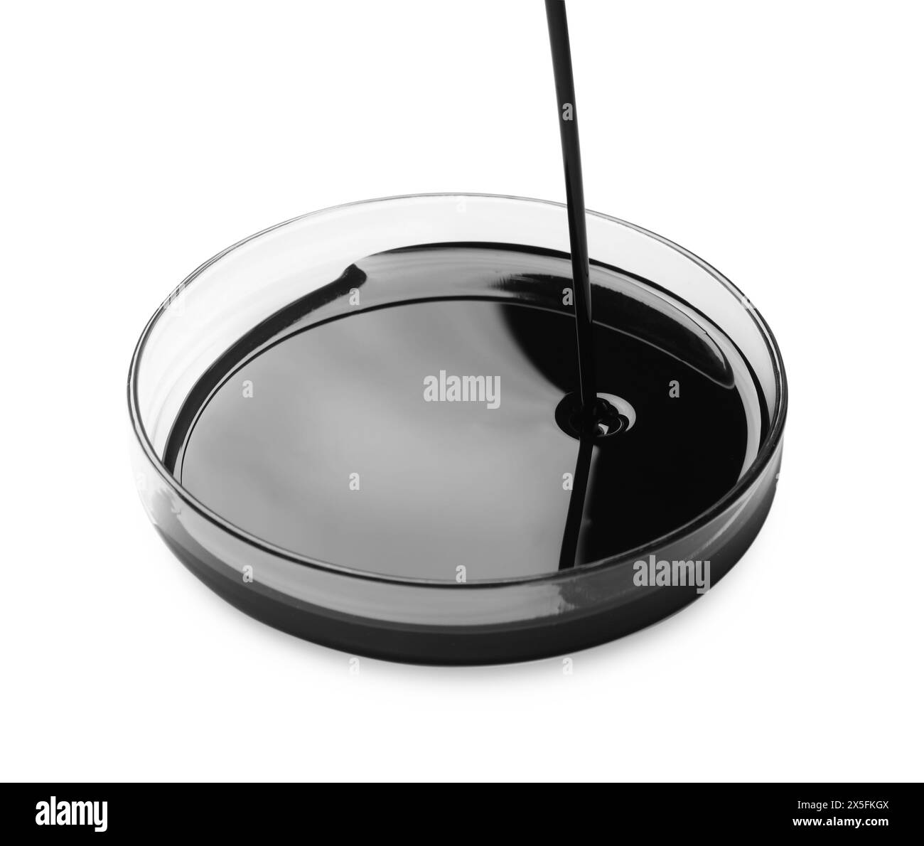 Verser du pétrole brut noir dans la boîte de Petri sur fond blanc Banque D'Images