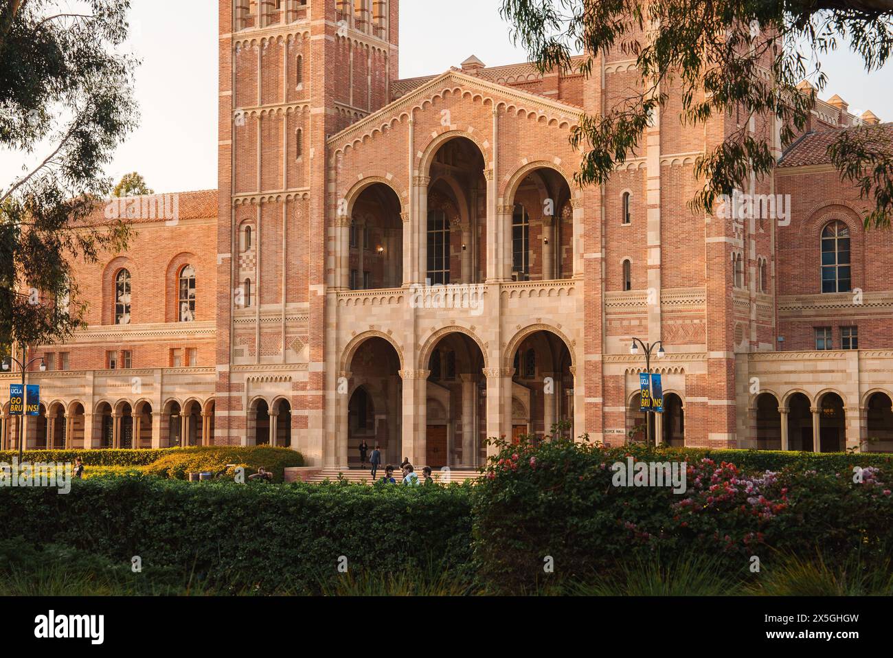 UCLA Bruin Bear sur le campus de l'Université de Californie à Los Angeles. Banque D'Images