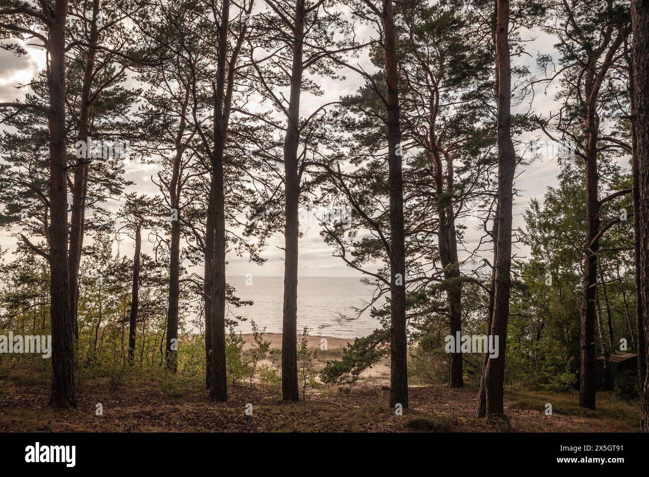 Photo de la mer Baltique sur la plage de Saulkrasti en Lettonie. Saulkrasti est une ville en Lettonie sur la côte est du golfe de Riga et la capitale o Banque D'Images