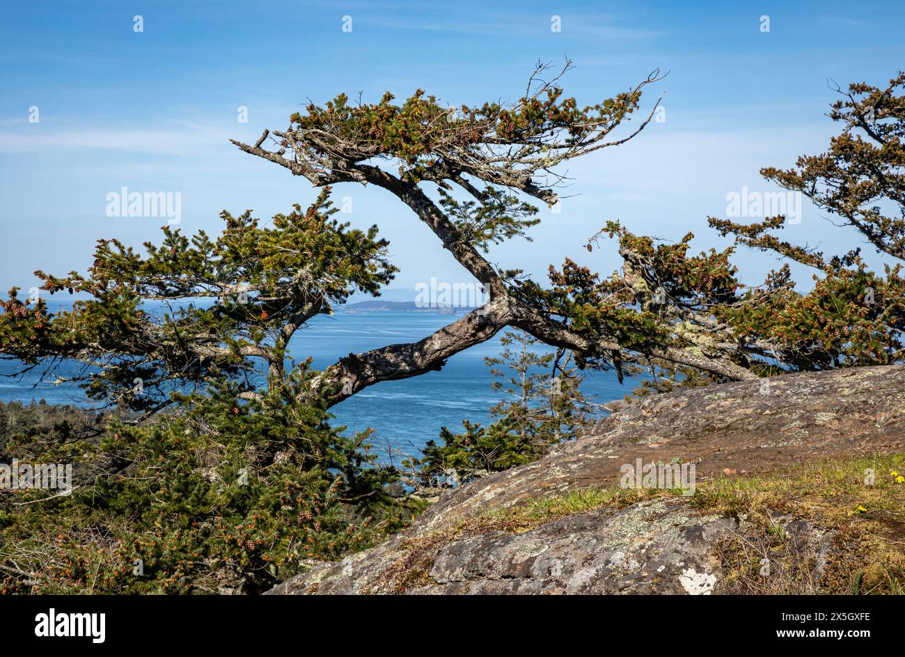 WA25211-00...WASHINGTON - vue sur le détroit de Juan de Fuca et l'île de Lopez depuis Goose Rock dans le parc national Deception Pass. Banque D'Images